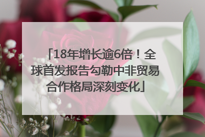 18年增长逾6倍！全球首发报告勾勒中非贸易合作格局深刻变化