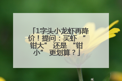 1字头小龙虾再降价！提问：买虾 “钳大” 还是 “钳小” 更划算？