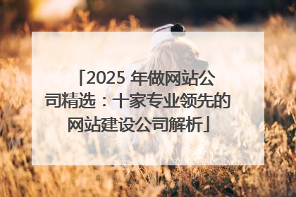 2025 年做网站公司精选：十家专业领先的网站建设公司解析