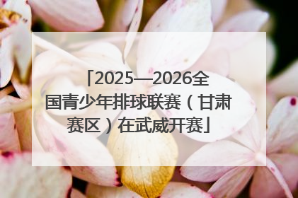 2025—2026全国青少年排球联赛（甘肃赛区）在武威开赛