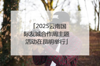 2025云南国际友城合作周主题活动在昆明举行