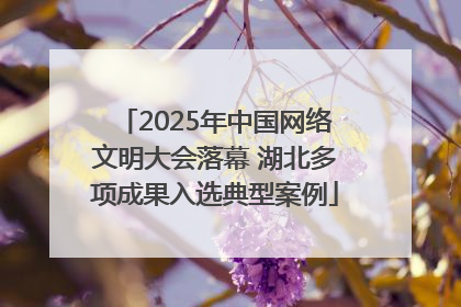 2025年中国网络文明大会落幕 湖北多项成果入选典型案例