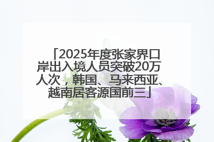 2025年度张家界口岸出入境人员突破20万人次，韩国、马来西亚、越南居客源国前三