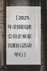 2025年全国民建会员企业家岳阳行活动举行