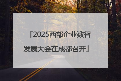 2025西部企业数智发展大会在成都召开