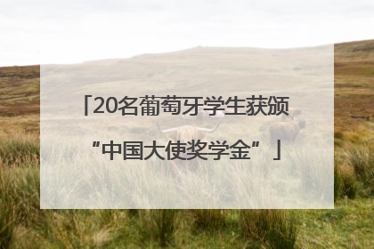 20名葡萄牙学生获颁“中国大使奖学金”