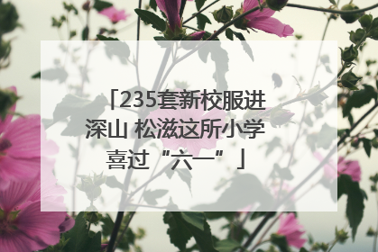 235套新校服进深山 松滋这所小学喜过“六一”