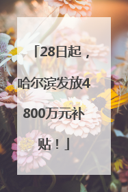 28日起，哈尔滨发放4800万元补贴！