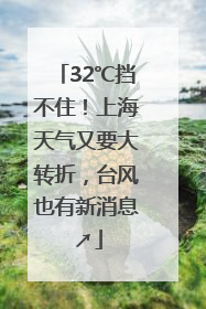 32℃挡不住！上海天气又要大转折，台风也有新消息↗