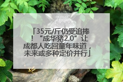 35元/斤仍受追捧！“成华猪2.0”让成都人吃回童年味道，未来或多种定价并行
