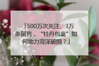 500万次关注、3万条留言，“牡丹包裹”如何助力菏泽破圈？