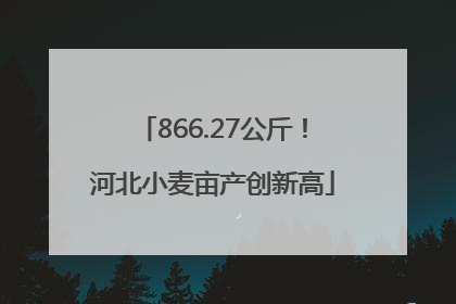 866.27公斤！河北小麦亩产创新高