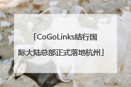 CoGoLinks结行国际大陆总部正式落地杭州