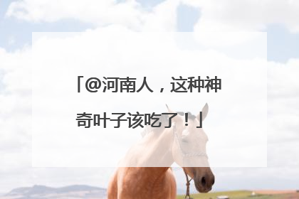 @河南人，这种神奇叶子该吃了！