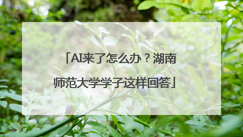AI来了怎么办？湖南师范大学学子这样回答
