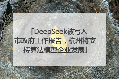 DeepSeek被写入市政府工作报告，杭州将支持算法模型企业发展