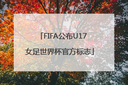 FIFA公布U17女足世界杯官方标志