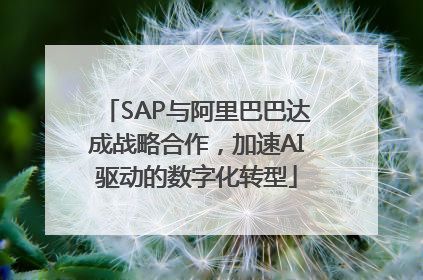 SAP与阿里巴巴达成战略合作，加速AI驱动的数字化转型
