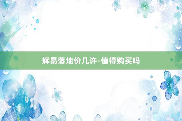 辉昂落地价几许-值得购买吗